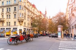 Horse carriage tour in Parizska street